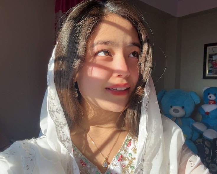 Creator Profile